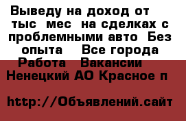 Выведу на доход от 400 тыс./мес. на сделках с проблемными авто. Без опыта. - Все города Работа » Вакансии   . Ненецкий АО,Красное п.